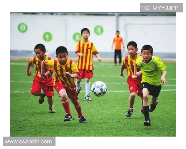 中国足球论坛：探讨中国足球未来发展与青训体系改革的深度交流平台