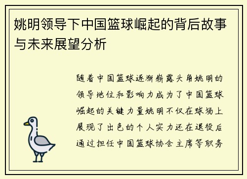 姚明领导下中国篮球崛起的背后故事与未来展望分析